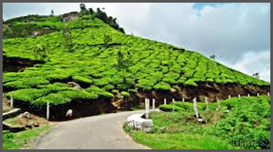 manali-tour